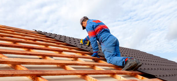 Best Sheet Metal Roofing  in Millbrook, AL